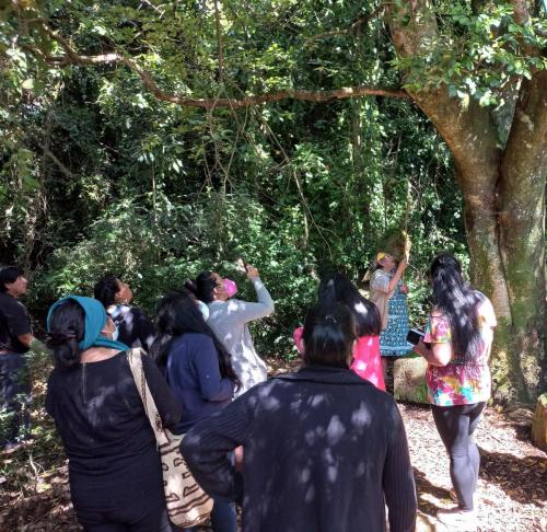 Lafkenche Women Leaders and Custodians of Lake Budi
