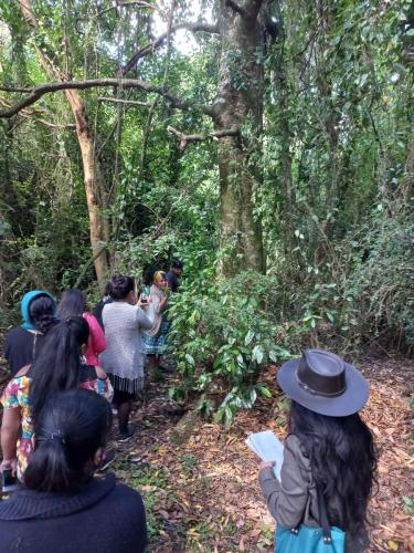 Lafkenche Women Leaders and Custodians of Lake Budi