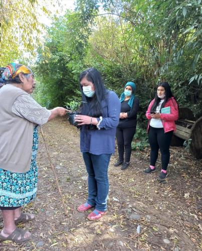Lafkenche Women Leaders and Custodians of Lake Budi
