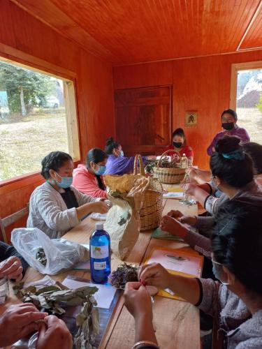 Lafkenche Women Leaders and Custodians of Lake Budi