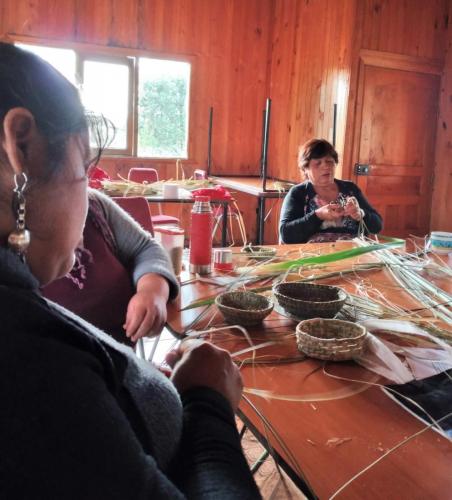 Lafkenche Women Leaders and Custodians of Lake Budi