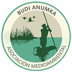 Budi Anumka